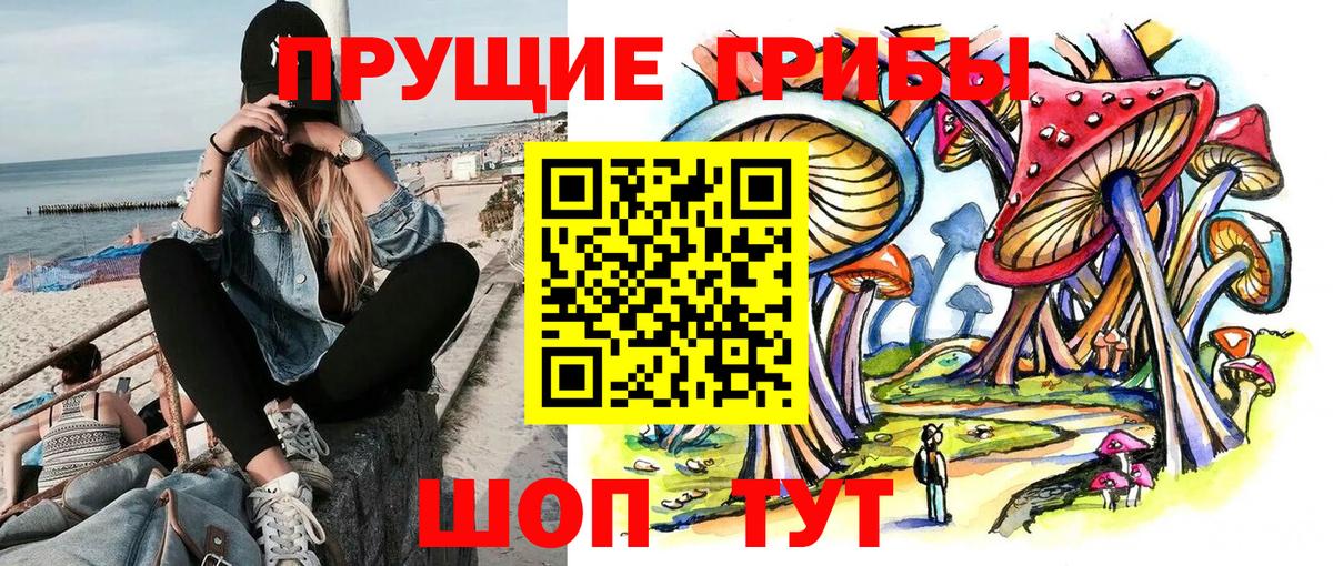 Псилоцибиновые грибы мицелий Нурлат