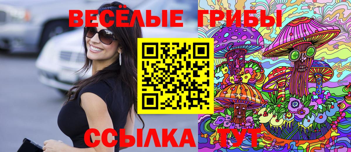 Нурлат  Псилоцибиновые грибы Psilocybine cubensis  даркнет сайт  Вход с VPN 